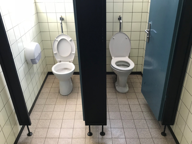 Schultoiletten sozial saniert - ein Hilfskonzept für die Hans-Thoma-Schule in Ettlingen-Spessart